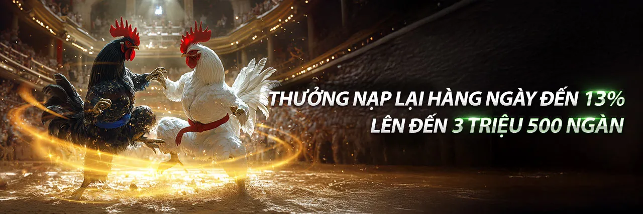 Trực tiếp Đá Gà C1 Ngày 19 Tháng 8